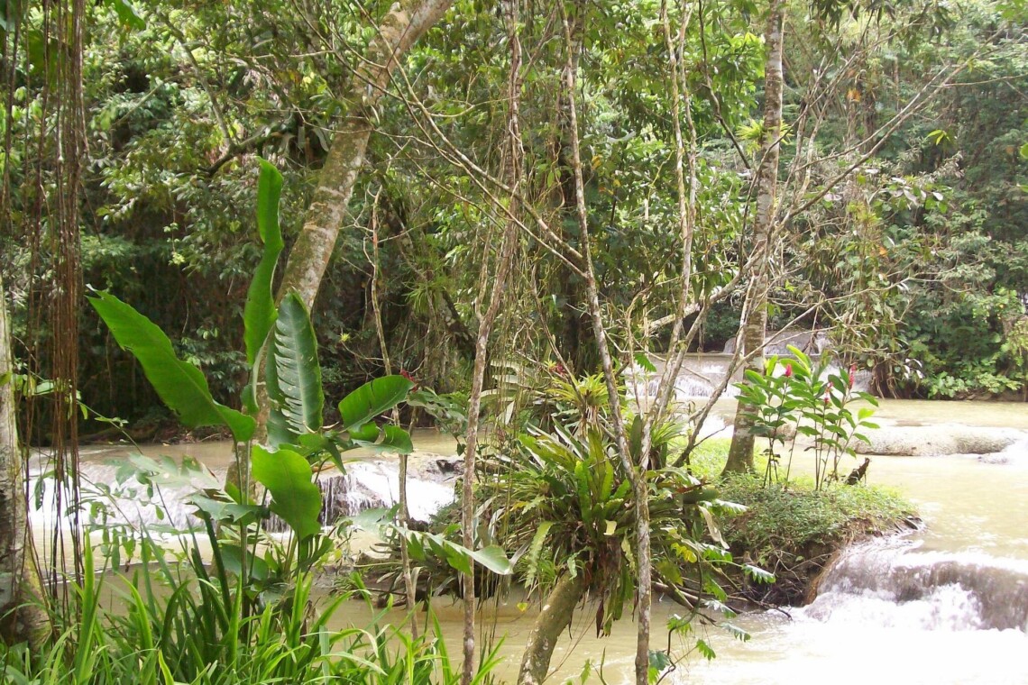 YS Falls (2)