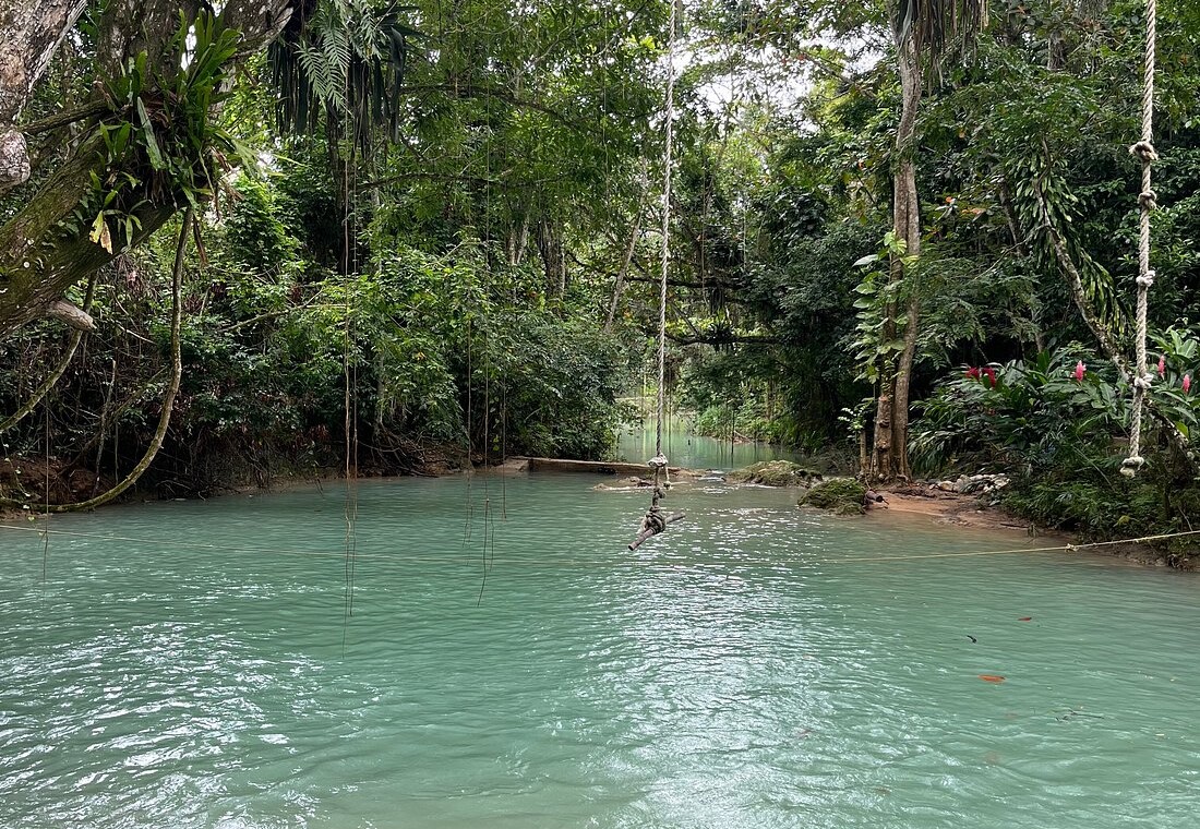 dunns river falls (3)